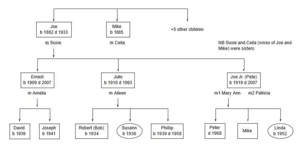 The-Gallo-Family-flow-chart.jpg